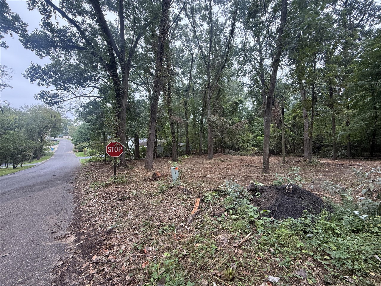 Photo 3 of Land for sale at Vl Lakeview Dr, Dowagiac, MI 49047 | MLS# 70559457 | Listing updated on 2026-09-26