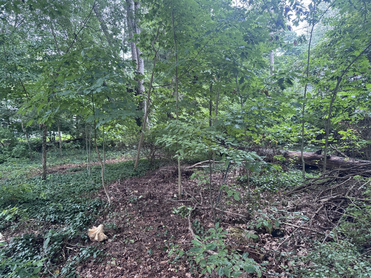 Photo 1 of Land for sale at 0 V/l Hollywood Dr, Holland, MI 49424 | MLS# 70559472 | Listing updated on 2026-09-25