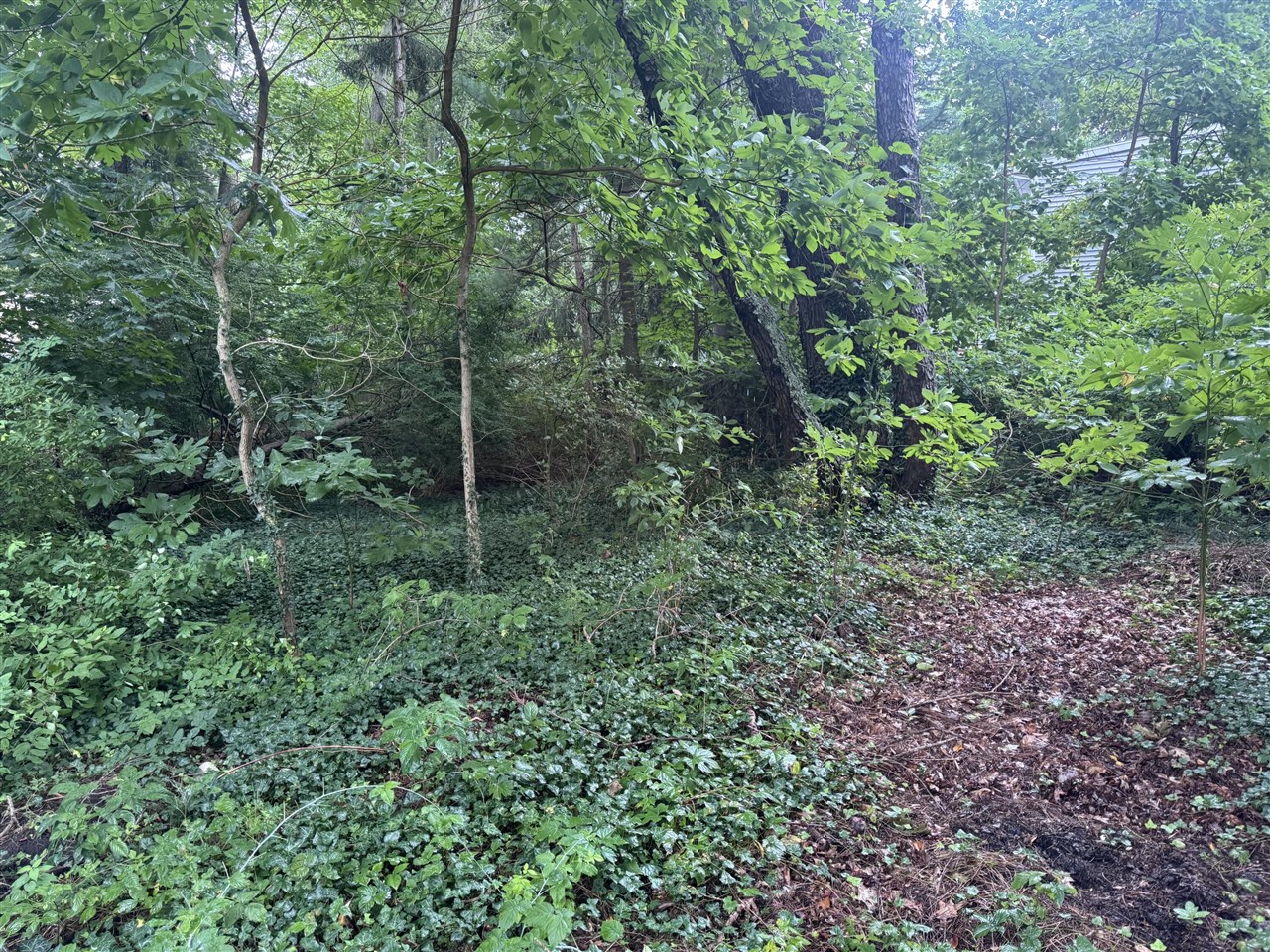 Photo 2 of Land for sale at 0 V/l Hollywood Dr, Holland, MI 49424 | MLS# 70559472 | Listing updated on 2026-09-25