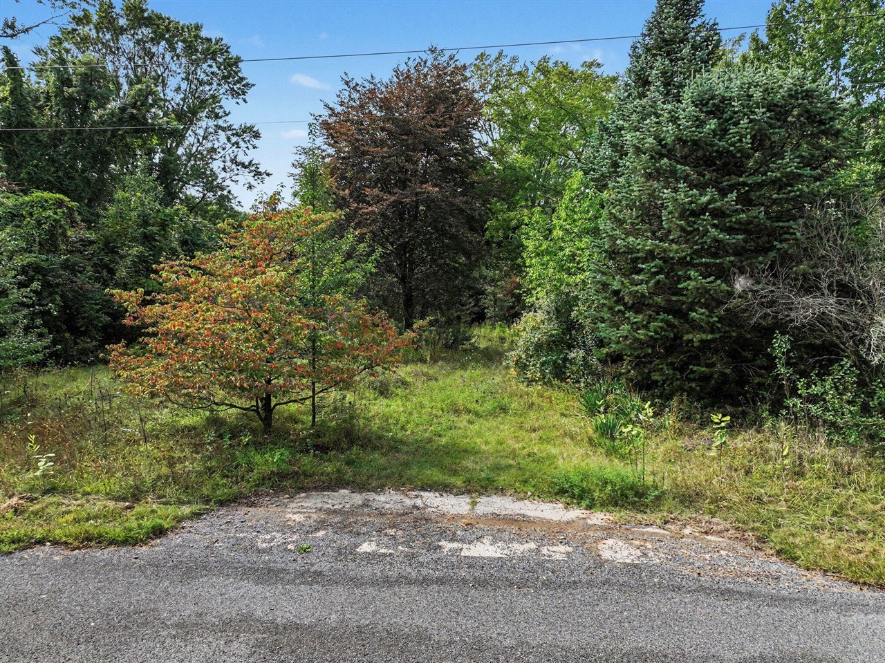 Land for sale at 18312 Kinst Rd, New Buffalo, MI 49117 | MLS# 70559499