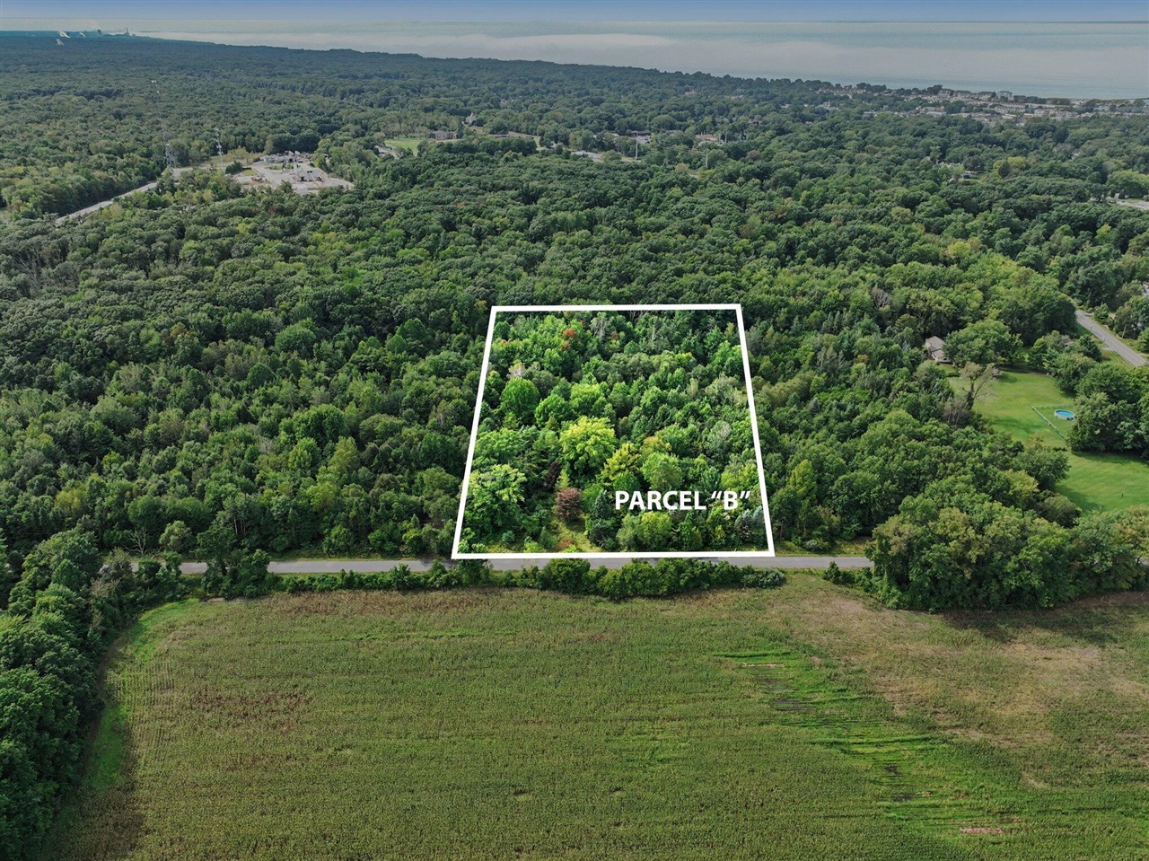 Photo 4 of Land for sale at 18312 Kinst Rd, New Buffalo, MI 49117 | MLS# 70559499 | Listing updated on 2026-09-18
