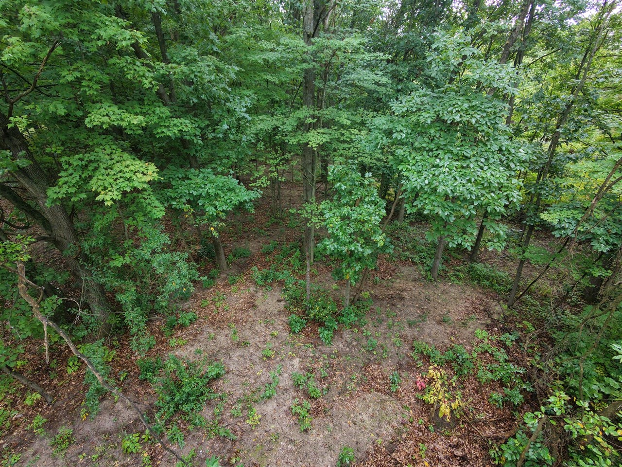 Photo 1 of Land for sale at 12998 Bowen Lake Dr, Gowen, MI 49326 | MLS# 70559529 | Listing updated on 2026-09-18