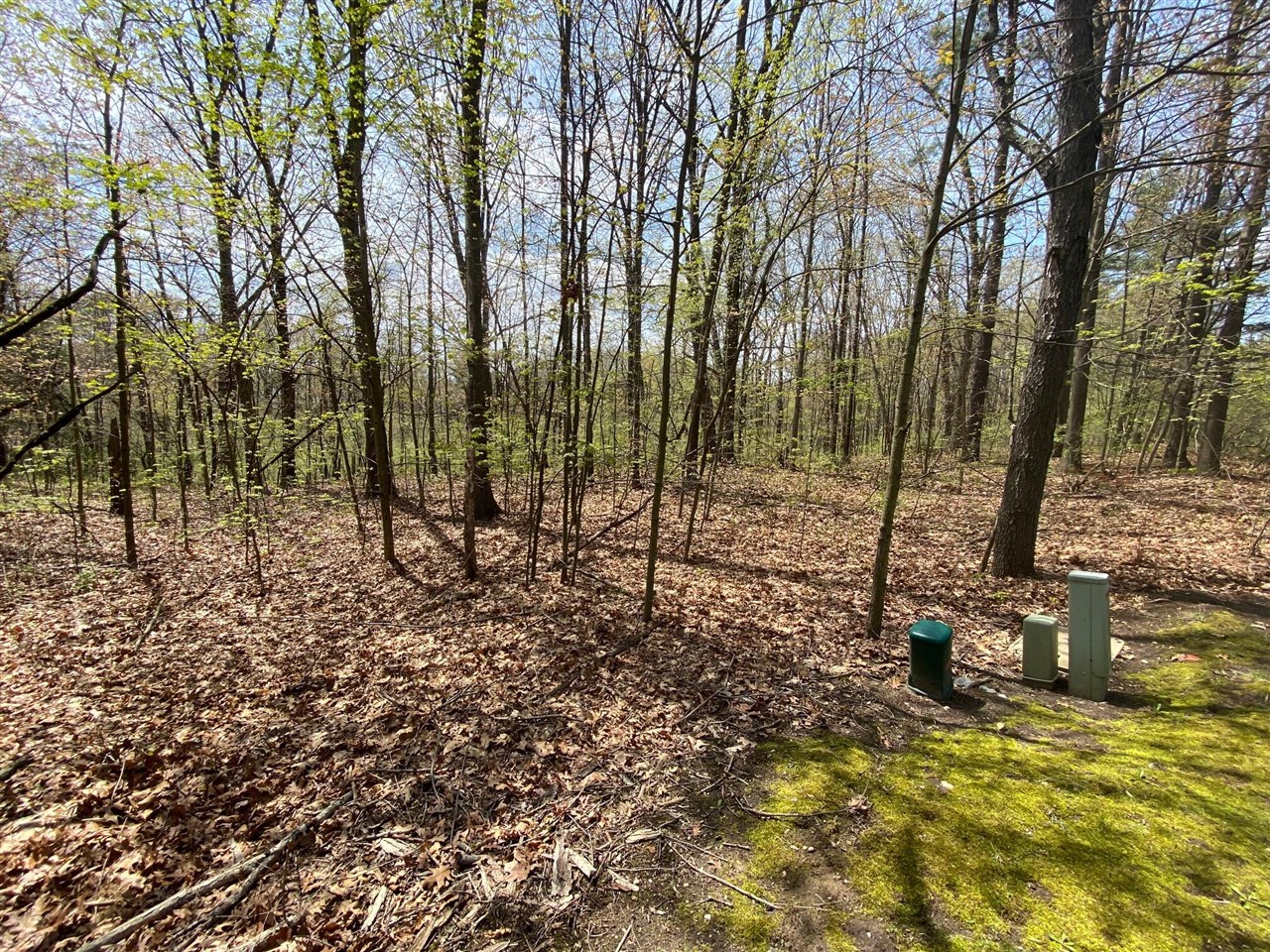Photo 3 of Land for sale at 12998 Bowen Lake Dr, Gowen, MI 49326 | MLS# 70559529 | Listing updated on 2026-09-18
