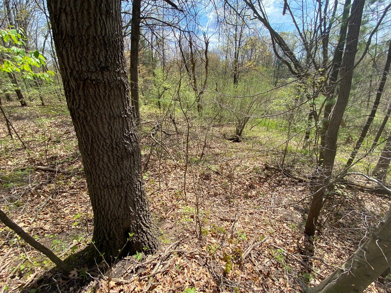 Photo 3 of Land for sale at 12998 Bowen Lake Dr, Gowen, MI 49326 | MLS# 70559529 | Listing updated on 2026-09-18