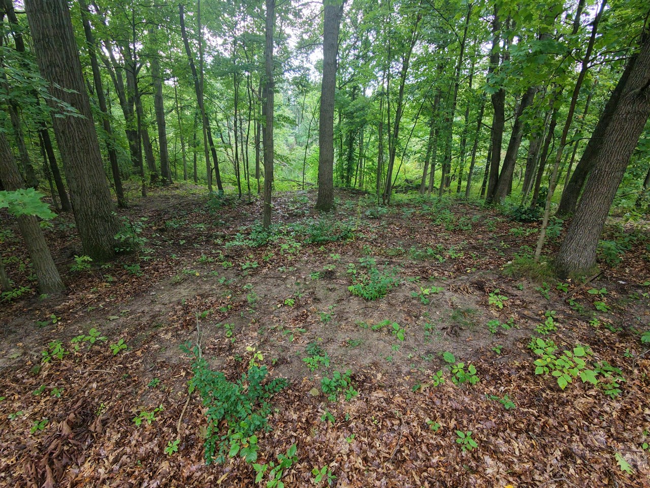 Photo 4 of Land for sale at 12998 Bowen Lake Dr, Gowen, MI 49326 | MLS# 70559529 | Listing updated on 2026-09-18