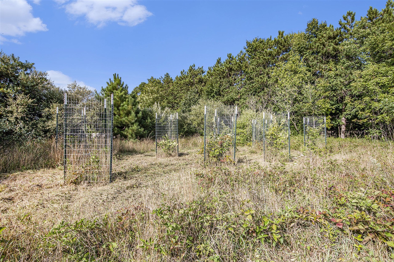 Photo 4 of Land for sale at 6788 120th Avenue, Fennville, MI 49408 | MLS# 70559536 | Listing updated on 2026-09-25