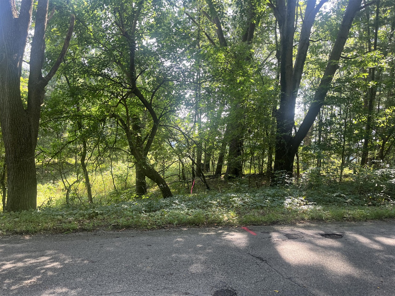 Photo 1 of Land for sale at B Grand River Rd, Rives Junction, MI 49277 | MLS# 70559606 | Listing updated on 2026-09-21