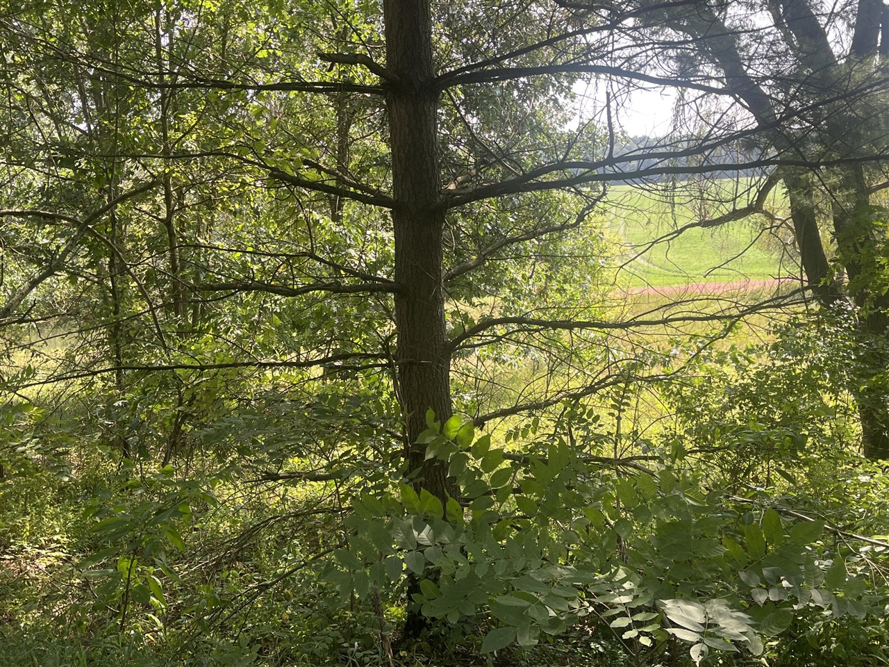 Photo 2 of Land for sale at B Grand River Rd, Rives Junction, MI 49277 | MLS# 70559606 | Listing updated on 2026-09-21