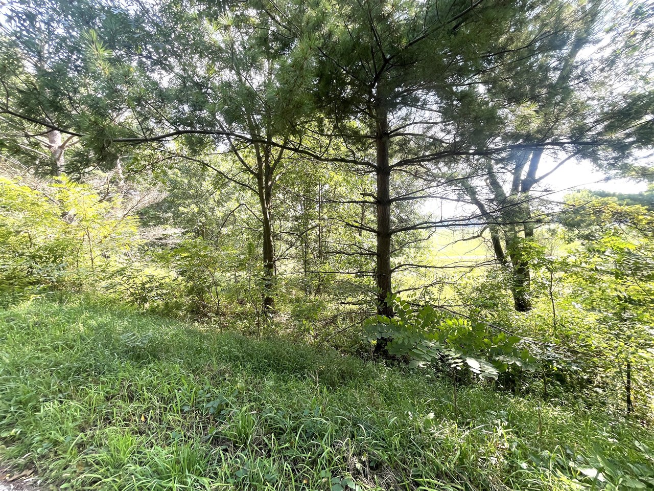 Photo 3 of Land for sale at B Grand River Rd, Rives Junction, MI 49277 | MLS# 70559606 | Listing updated on 2026-09-21