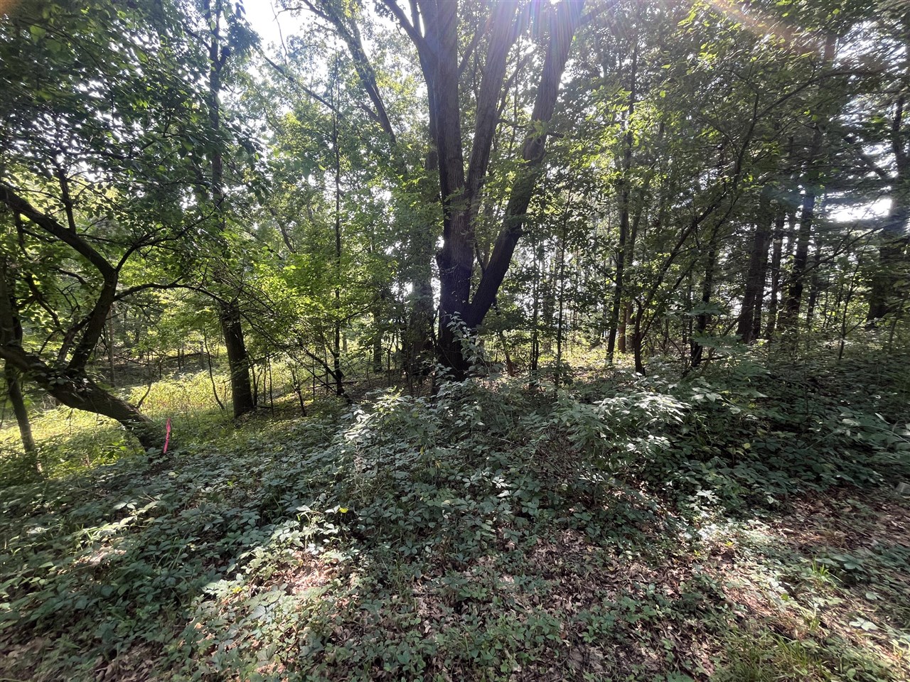 Photo 4 of Land for sale at B Grand River Rd, Rives Junction, MI 49277 | MLS# 70559606 | Listing updated on 2026-09-21
