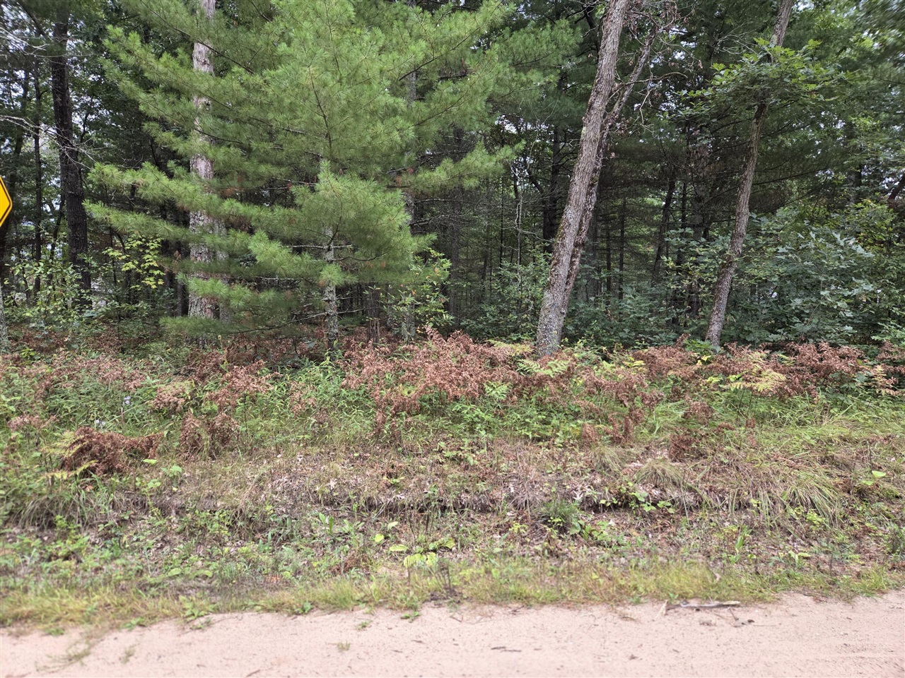 Photo 2 of Land for sale at S Idlewild Blvd, Idlewild, MI 49642 | MLS# 70559693 | Listing updated on 2026-09-23