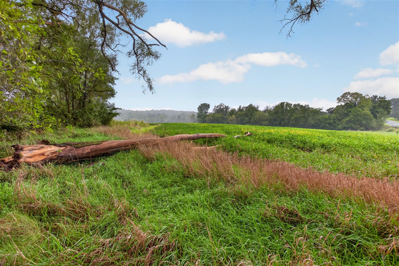 Photo 3 of Land for sale at V/l E Austin Rd, Manchester, MI 48158 | MLS# 70559742 | Listing updated on 2026-09-28