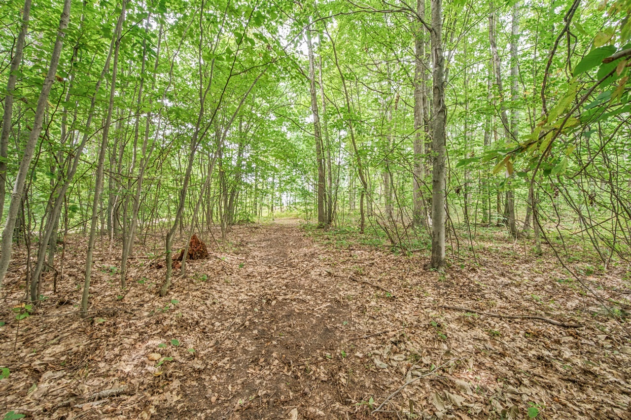 Photo 1 of Land for sale at V/l 05 8 Mile Rd, Evart, MI 49631 | MLS# 70559814 | Listing updated on 2026-10-05
