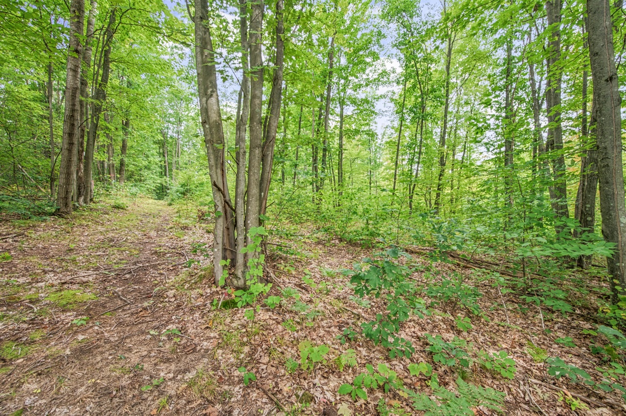 Photo 2 of Land for sale at V/l 05 8 Mile Rd, Evart, MI 49631 | MLS# 70559814 | Listing updated on 2026-10-05