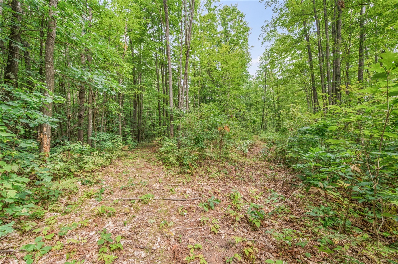 Photo 3 of Land for sale at V/l 05 8 Mile Rd, Evart, MI 49631 | MLS# 70559814 | Listing updated on 2026-10-05