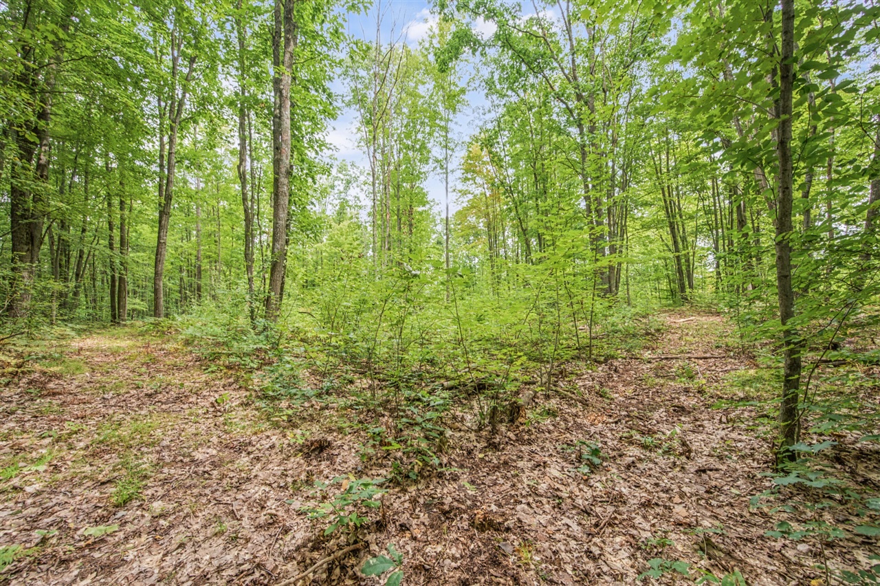 Photo 3 of Land for sale at V/l 05 8 Mile Rd, Evart, MI 49631 | MLS# 70559814 | Listing updated on 2026-10-05
