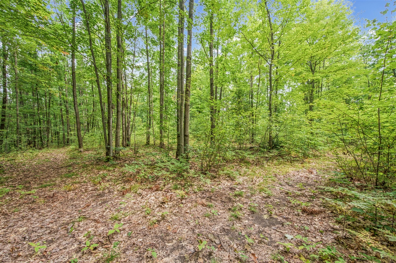 Photo 4 of Land for sale at V/l 05 8 Mile Rd, Evart, MI 49631 | MLS# 70559814 | Listing updated on 2026-10-05