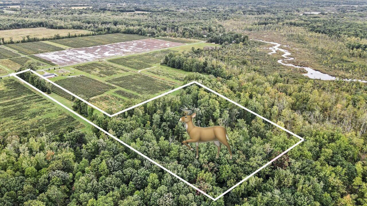 Photo 2 of Land for sale at County Rd 653, Gobles, MI 49055 | MLS# 70560025 | Listing updated on 2026-09-23