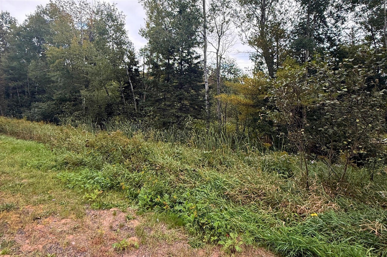 Photo 3 of Land for sale at 1059 Greenwood St, Ishpeming, MI 49849 | MLS# 70560230 | Listing updated on 2026-10-07