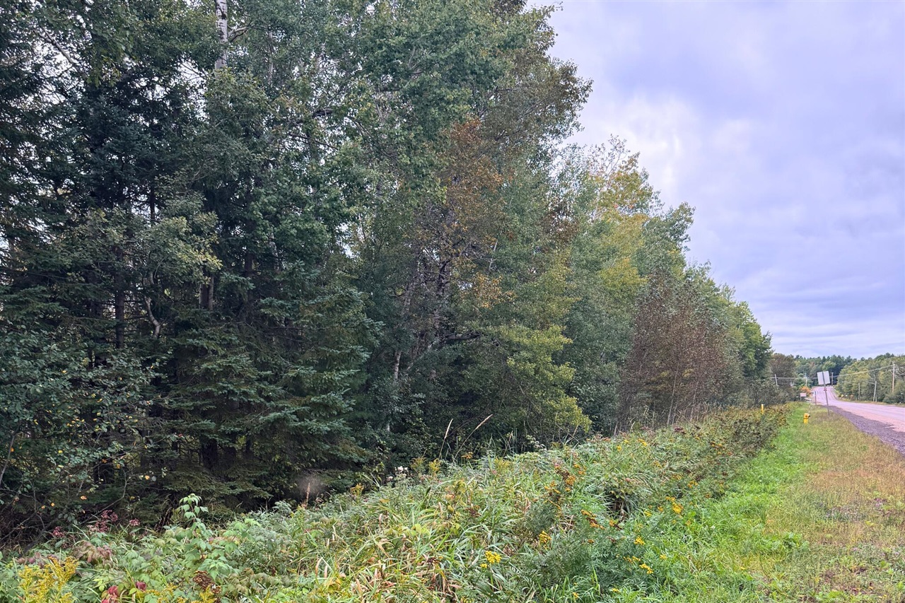 Photo 4 of Land for sale at 1059 Greenwood St, Ishpeming, MI 49849 | MLS# 70560230 | Listing updated on 2026-10-07