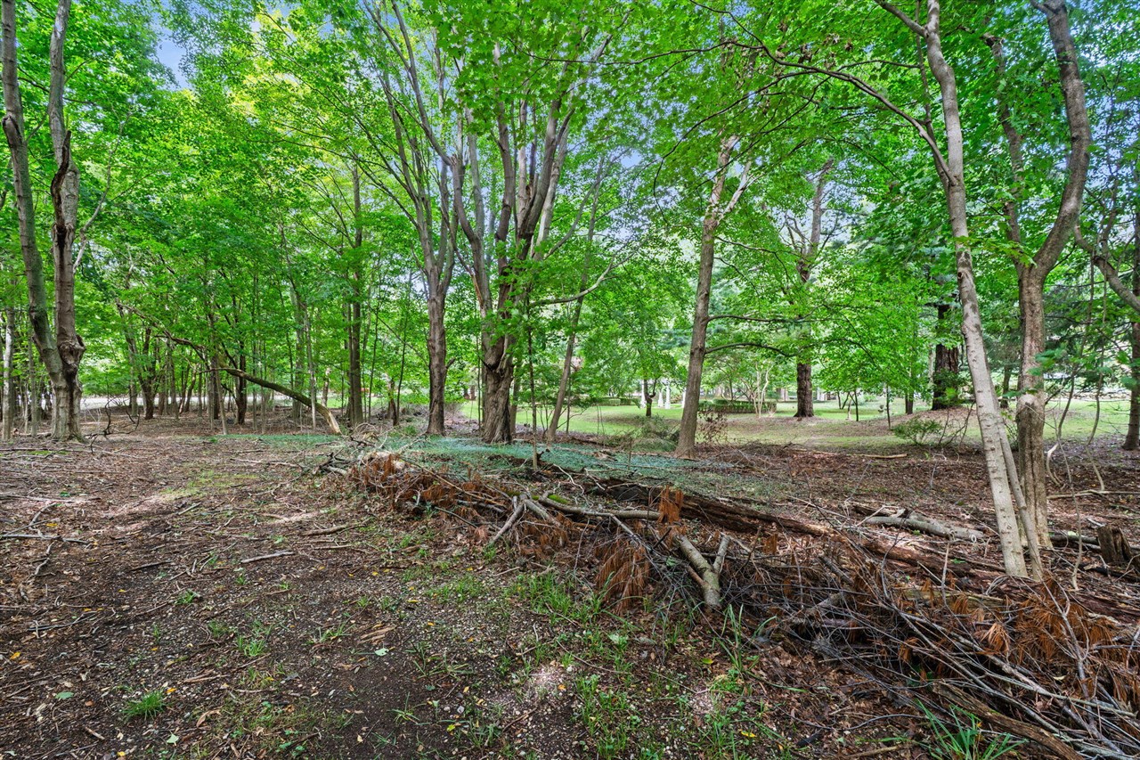 Photo 3 of Land for sale at Vl 70th (lakeshore Drive), Fennville, MI 49408 | MLS# 70560231 | Listing updated on 2026-09-29