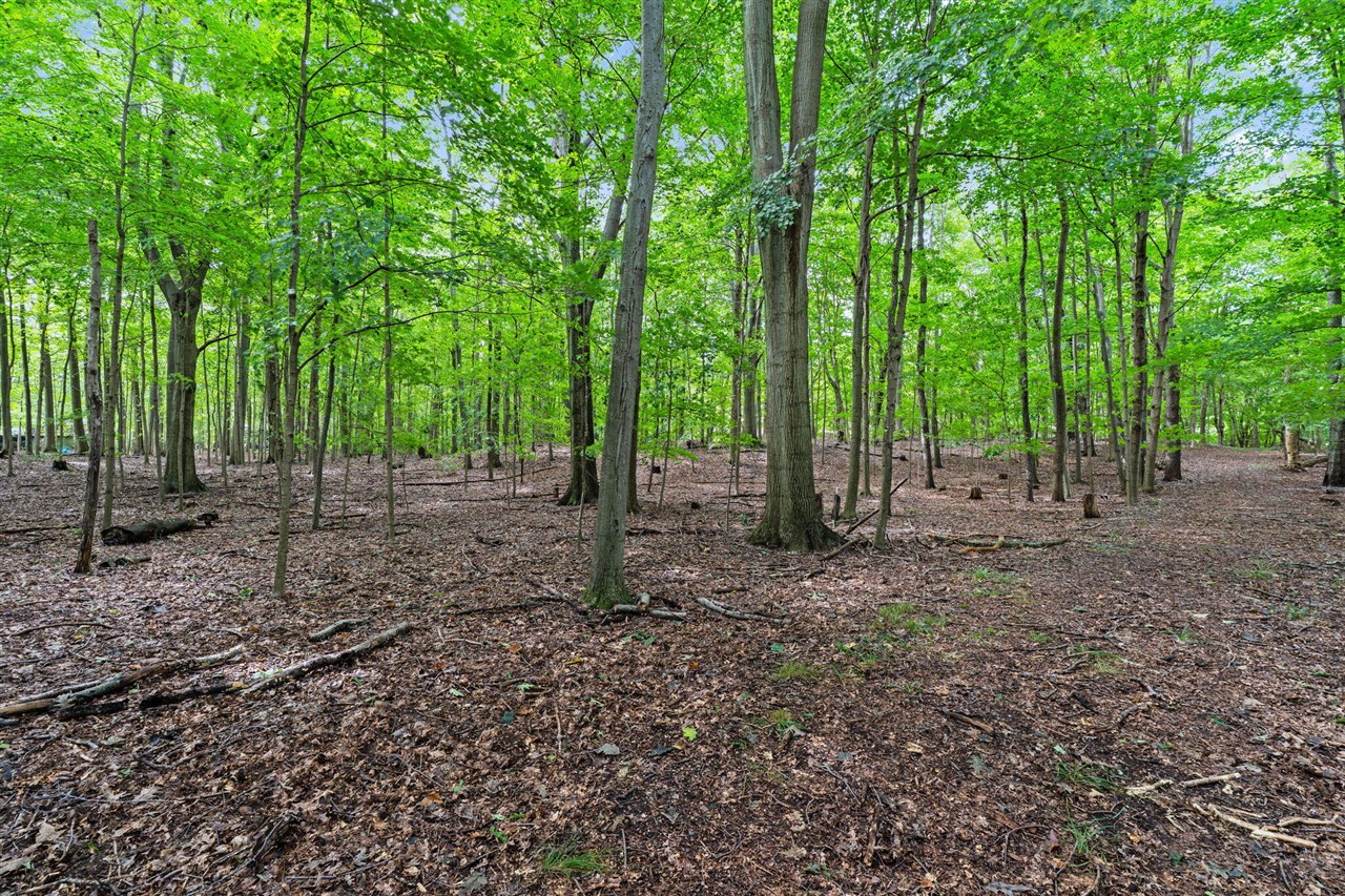 Photo 3 of Land for sale at Vl 70th (lakeshore Drive), Fennville, MI 49408 | MLS# 70560231 | Listing updated on 2026-09-29