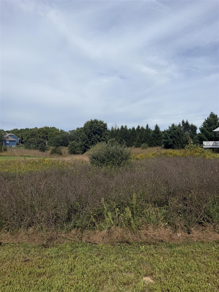 Land for sale at 5465 Turkey Run Dr, Kalamazoo, MI 49004 | MLS# 70560301