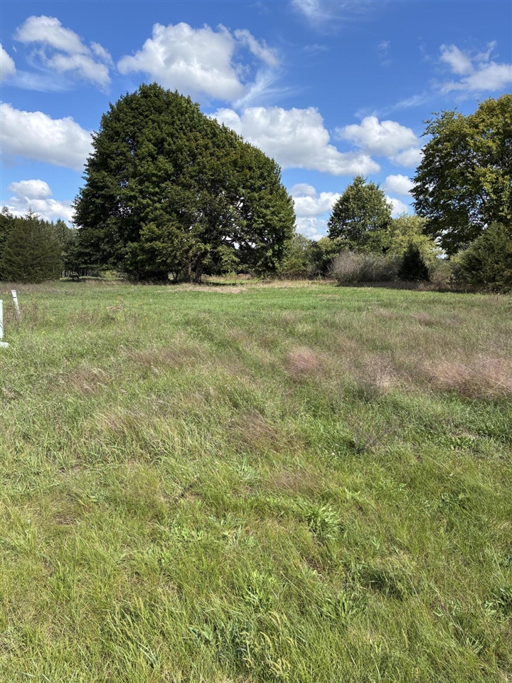 Photo 1 of Land for sale at V/l W Ellis Ave, Belding, MI 48809 | MLS# 70560403 | Listing updated on 2026-09-30