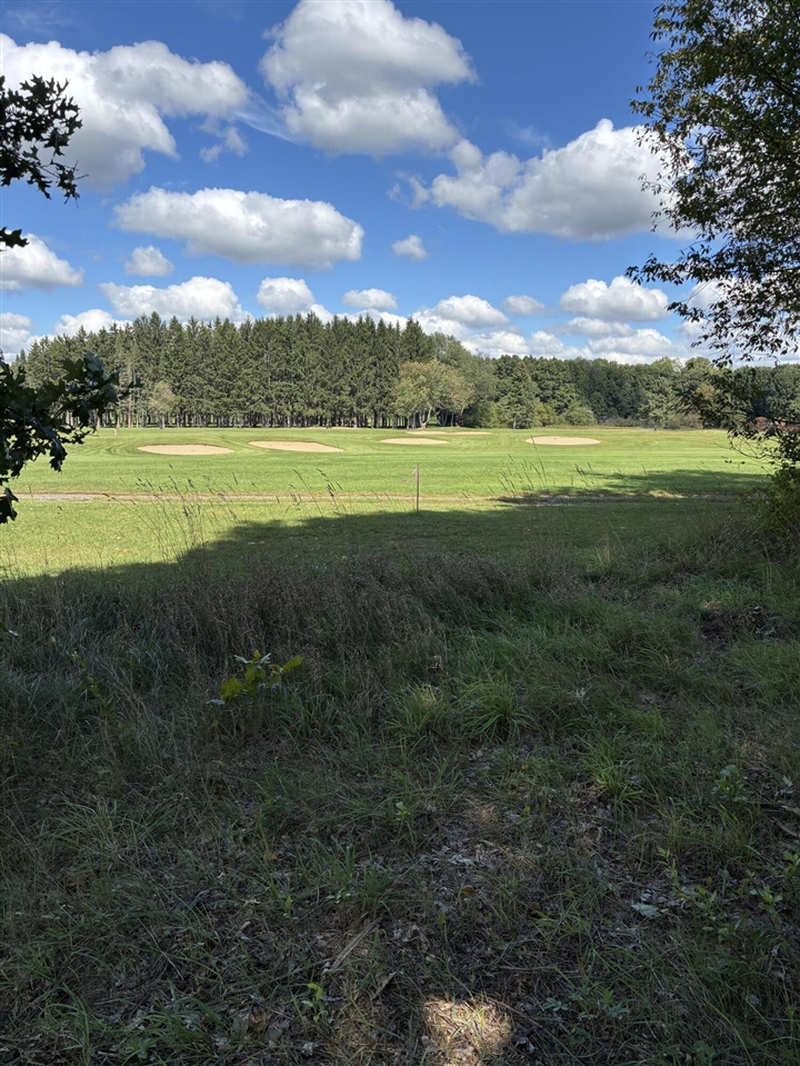 Photo 2 of Land for sale at V/l W Ellis Ave, Belding, MI 48809 | MLS# 70560403 | Listing updated on 2026-09-30