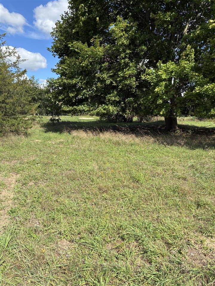 Photo 3 of Land for sale at V/l W Ellis Ave, Belding, MI 48809 | MLS# 70560403 | Listing updated on 2026-09-30