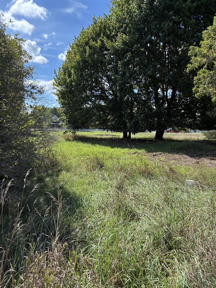 Photo 3 of Land for sale at V/l W Ellis Ave, Belding, MI 48809 | MLS# 70560403 | Listing updated on 2026-09-30