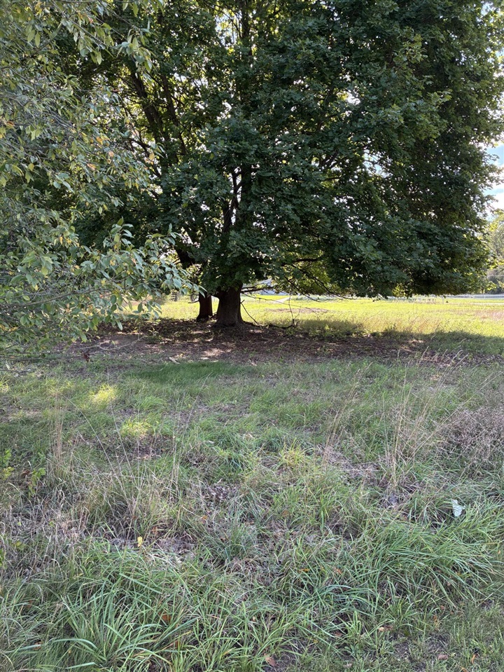Photo 4 of Land for sale at V/l W Ellis Ave, Belding, MI 48809 | MLS# 70560403 | Listing updated on 2026-09-30