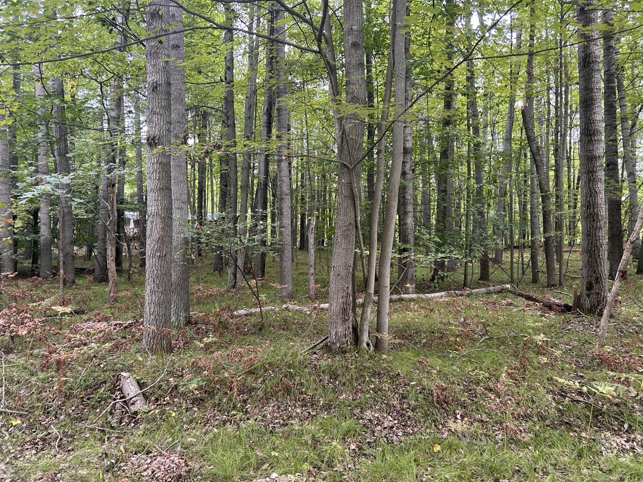 Land for sale at 8228 Tanglewood Trl, Stanwood, MI 49346 | MLS# 70560444