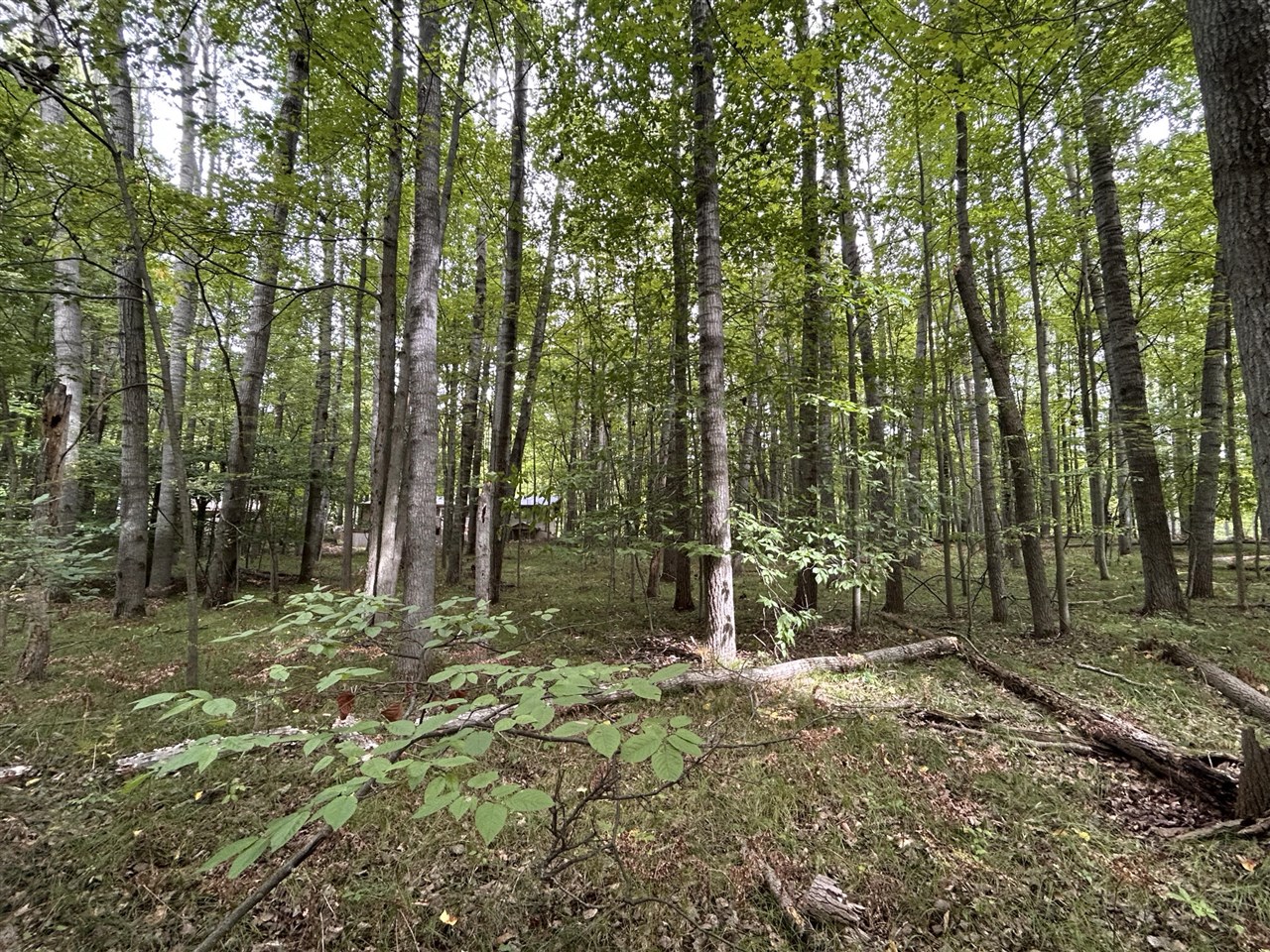 Photo 1 of Land for sale at 8228 Tanglewood Trl, Stanwood, MI 49346 | MLS# 70560444 | Listing updated on 2026-10-07