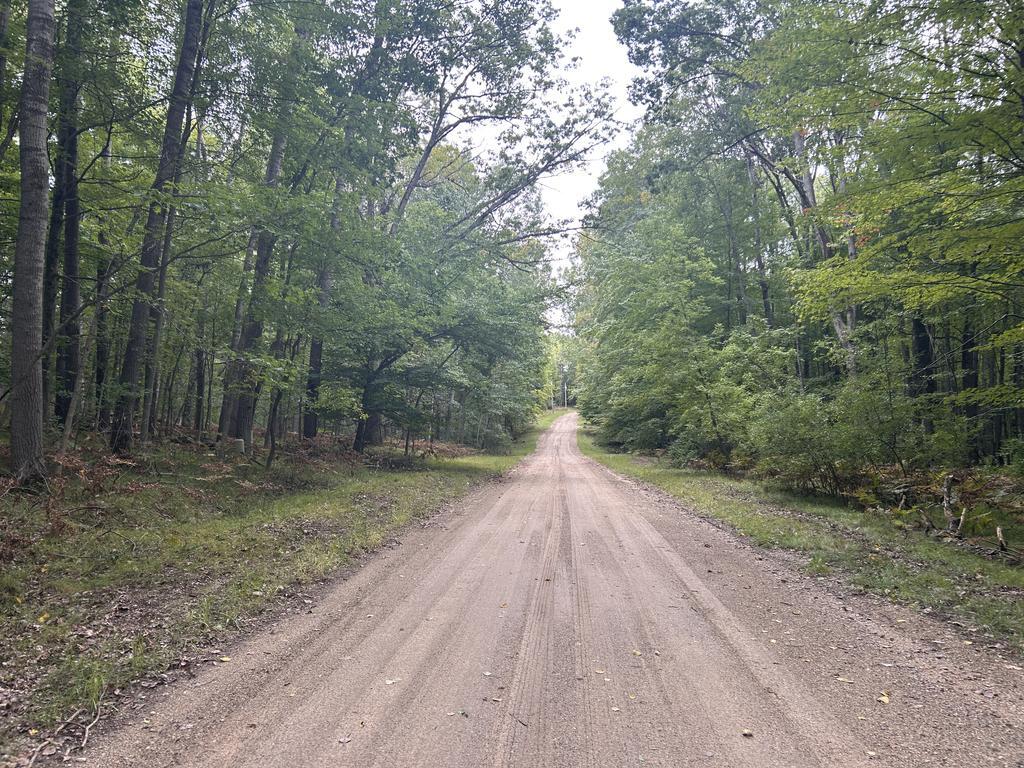 Photo 3 of Land for sale at 8228 Tanglewood Trl, Stanwood, MI 49346 | MLS# 70560444 | Listing updated on 2026-10-07