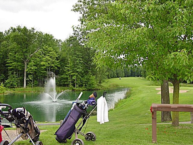Photo 4 of Land for sale at 8228 Tanglewood Trl, Stanwood, MI 49346 | MLS# 70560444 | Listing updated on 2026-10-07