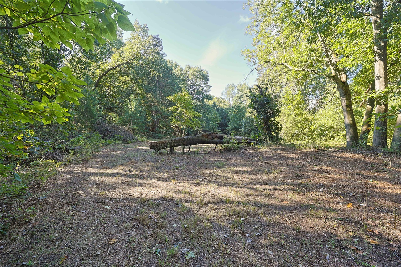 Photo 3 of Land for sale at 0 Vl Earl St, Niles, MI 49120 | MLS# 70560586 | Listing updated on 2026-09-24