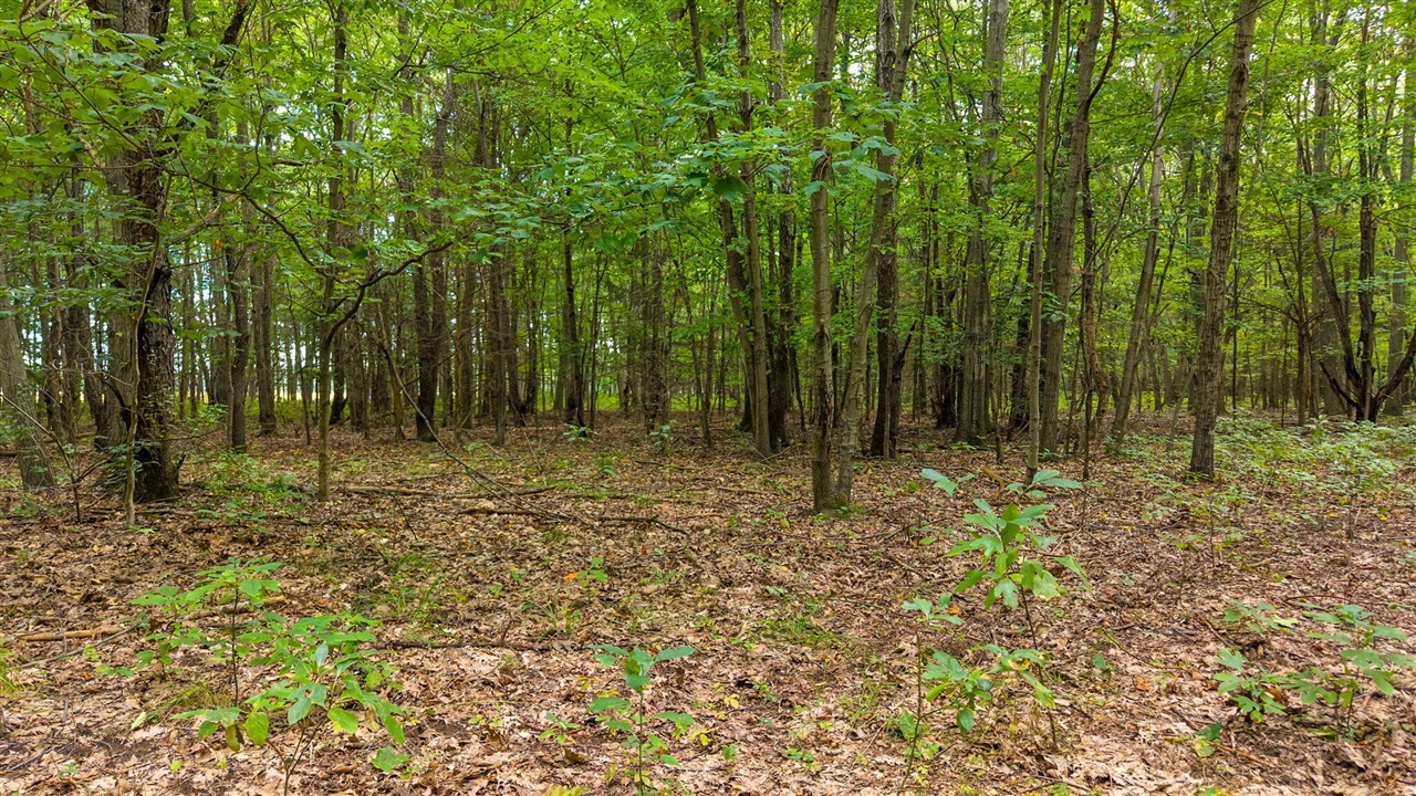 Photo 1 of Land for sale at 104th Avenue, South Haven, MI 49090 | MLS# 70560589 | Listing updated on 2026-09-24