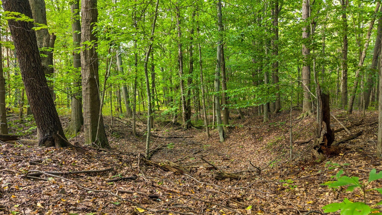 Photo 3 of Land for sale at 104th Avenue, South Haven, MI 49090 | MLS# 70560589 | Listing updated on 2026-09-24