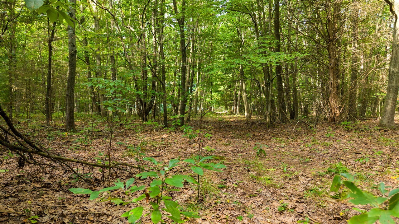 Photo 3 of Land for sale at 2 104th Avenue, South Haven, MI 49090 | MLS# 70560605 | Listing updated on 2026-09-24