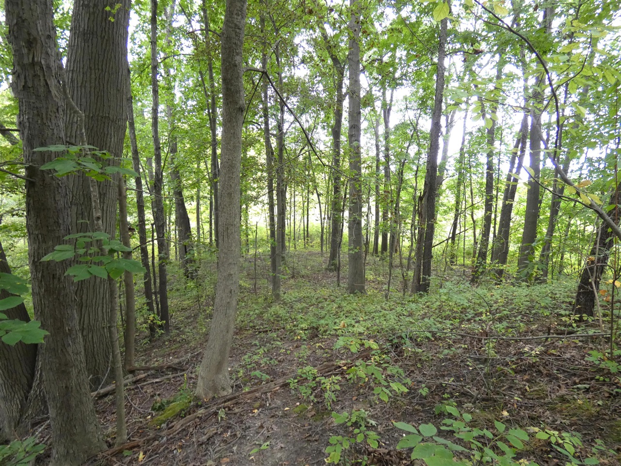 Photo 1 of Land for sale at 530 Rembert Ct, Benton Harbor, MI 49022 | MLS# 70560725 | Listing updated on 2026-09-24