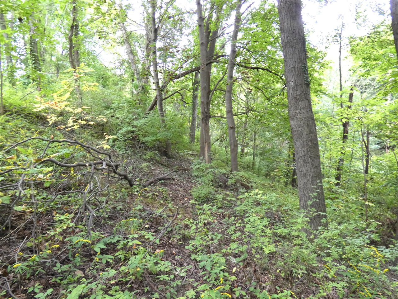 Photo 3 of Land for sale at 530 Rembert Ct, Benton Harbor, MI 49022 | MLS# 70560725 | Listing updated on 2026-09-24