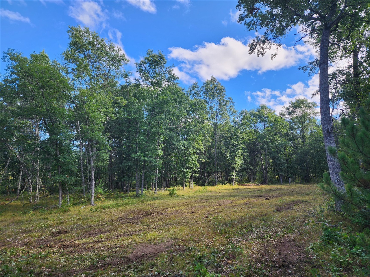 Land for sale at V/l W Jeffers, Irons, MI 49644 | MLS# 70560777
