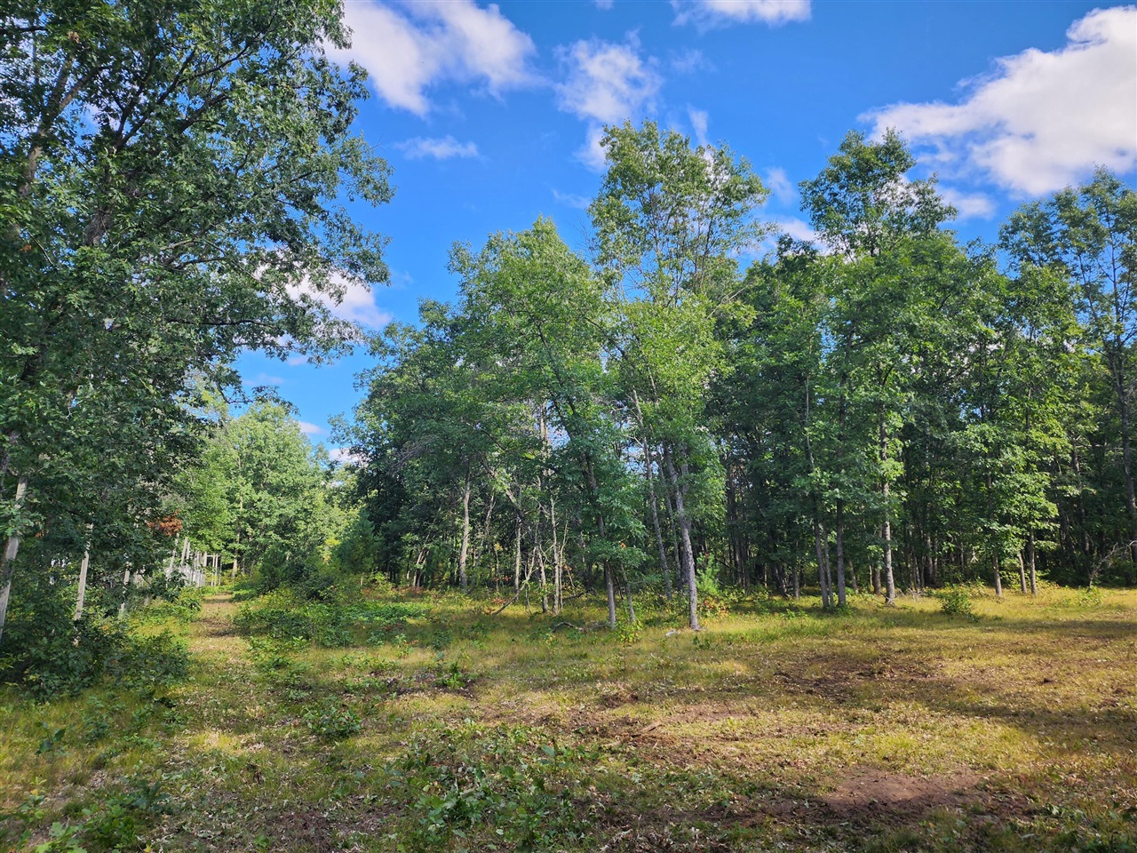 Photo 1 of Land for sale at V/l W Jeffers, Irons, MI 49644 | MLS# 70560777 | Listing updated on 2026-09-29