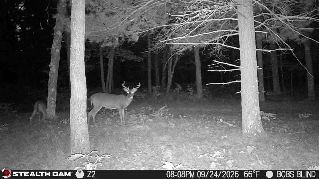 Photo 4 of Land for sale at V/l W Jeffers, Irons, MI 49644 | MLS# 70560777 | Listing updated on 2026-09-29