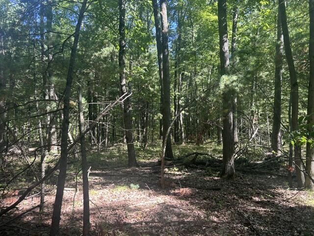 Land for sale at 9 Mile Rd, Stanwood, MI 49346 | MLS# 70560816