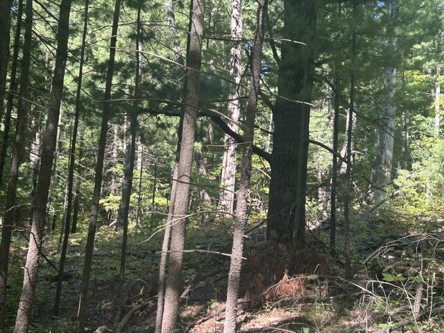 Photo 3 of Land for sale at 9 Mile Rd, Stanwood, MI 49346 | MLS# 70560816 | Listing updated on 2026-09-25
