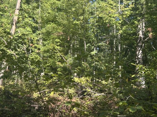Photo 4 of Land for sale at 9 Mile Rd, Stanwood, MI 49346 | MLS# 70560816 | Listing updated on 2026-09-25