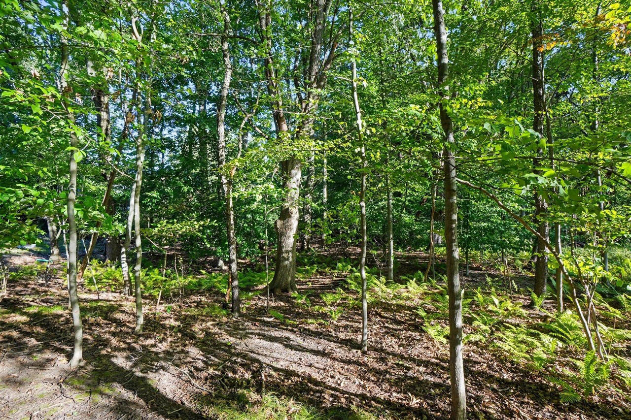 Photo 3 of Land for sale at 0 Pless Ln, Spring Lake, MI 49456 | MLS# 70560933 | Listing updated on 2026-10-05