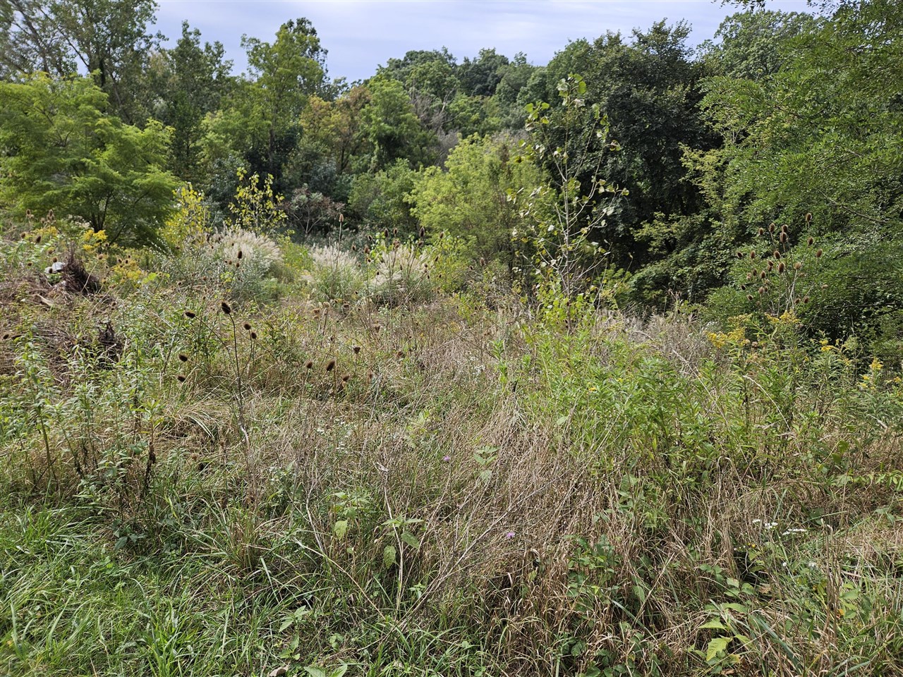 Photo 1 of Land for sale at 3800 Michigan 139, Saint Joseph, MI 49085 | MLS# 70560984 | Listing updated on 2026-09-29